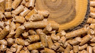 Holzstamm und Pellets